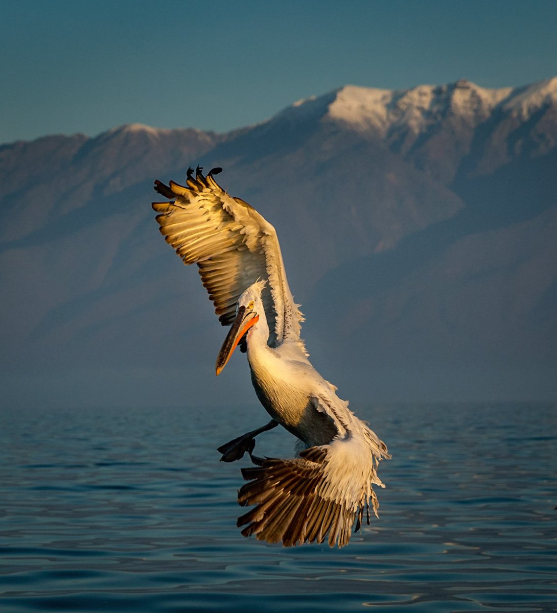 National Джеографик