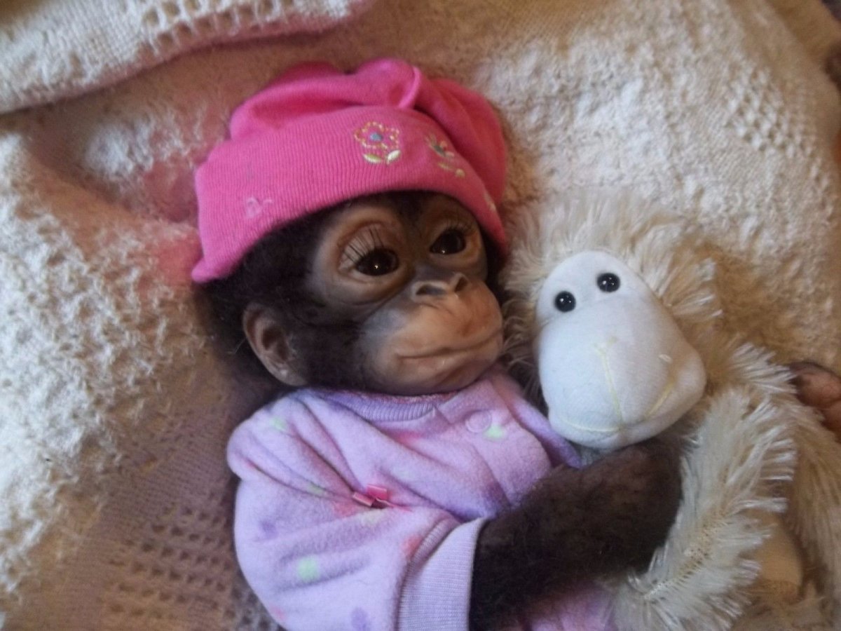 Обезьянка в комбинезоне