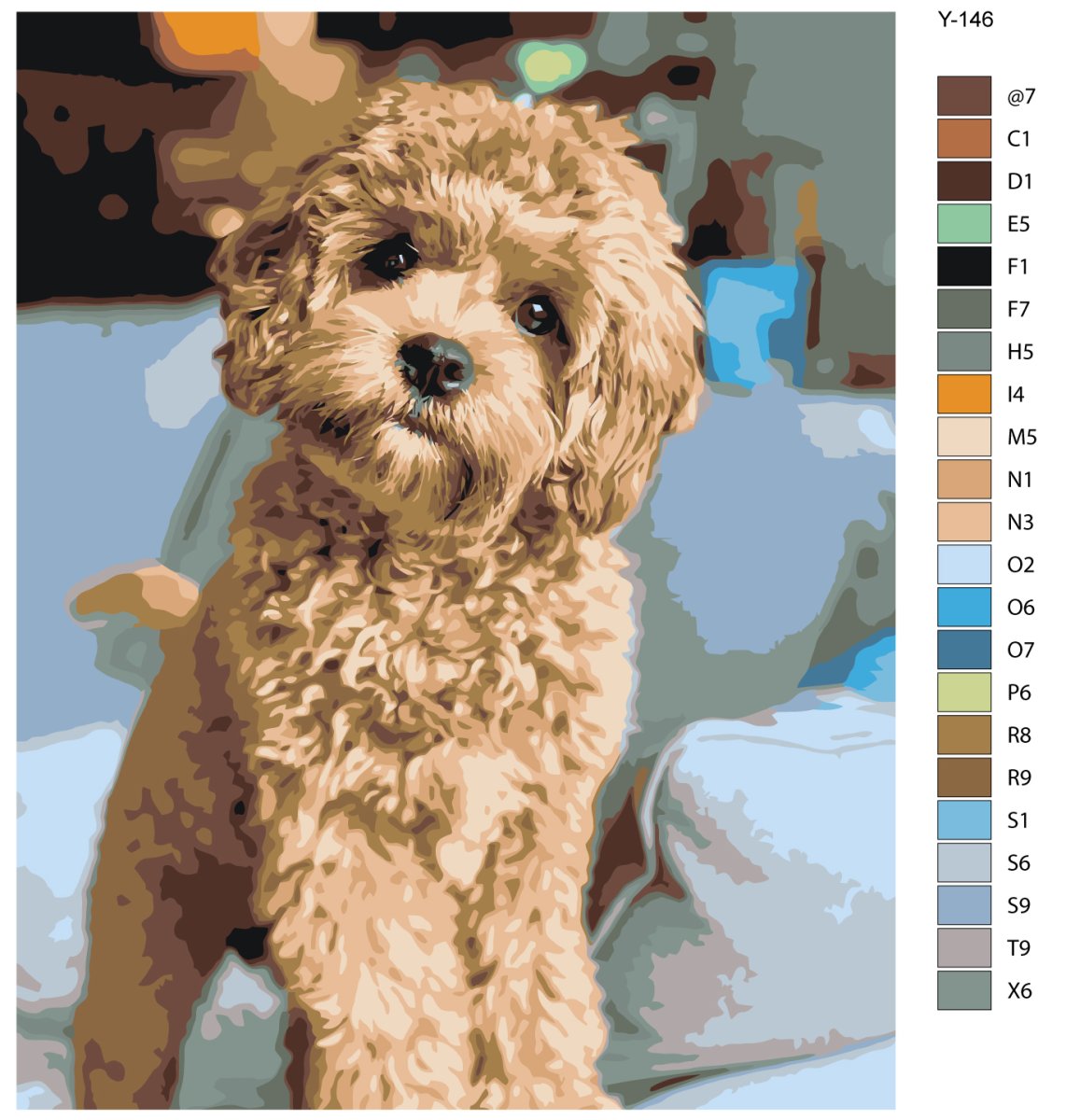 Пудель мальтипу