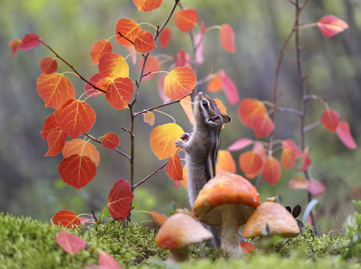 Осеннее воскресенье