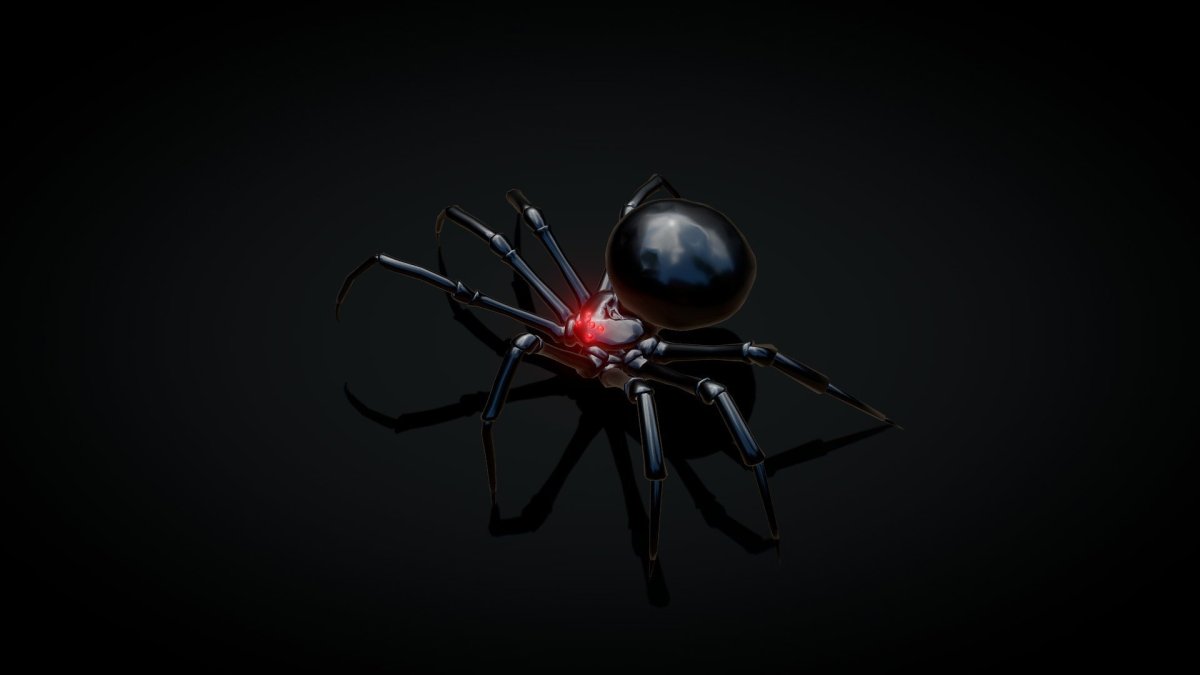 Черная вдова паук арт