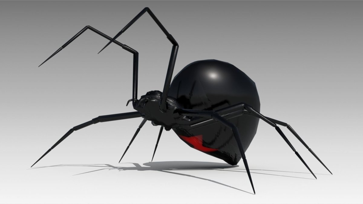 Черная вдова паук арт