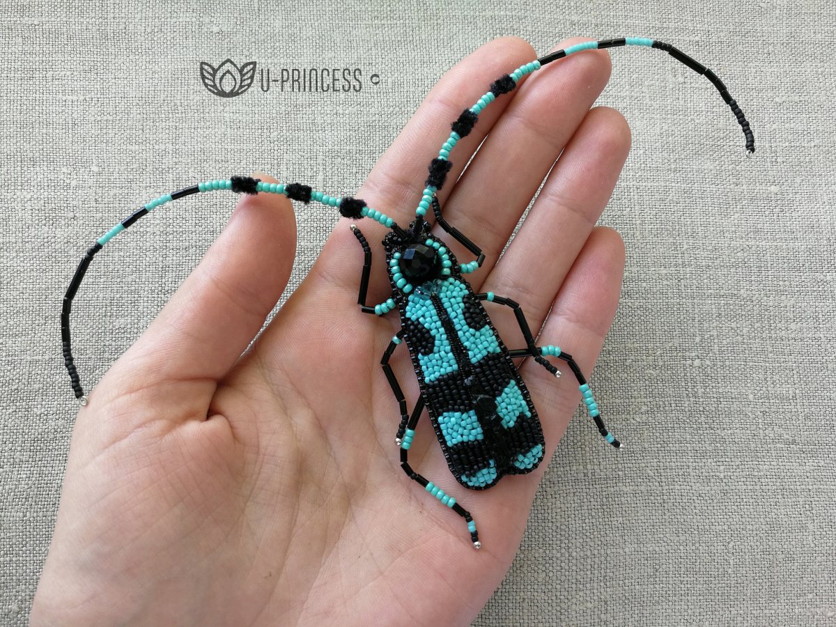 Жук усач Небесный