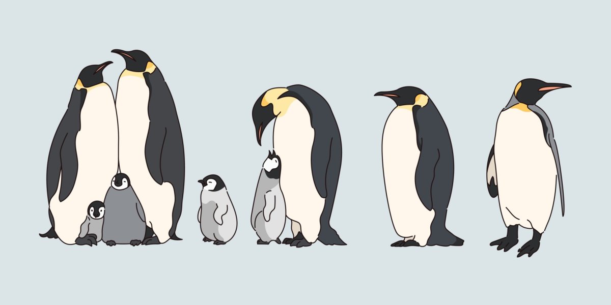 Emperor Penguins вектор