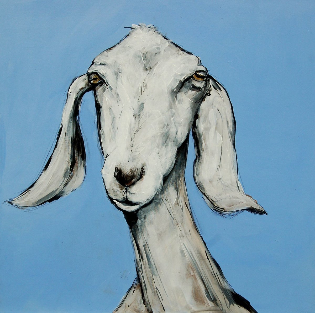 Англо-нубийские козы рисунок