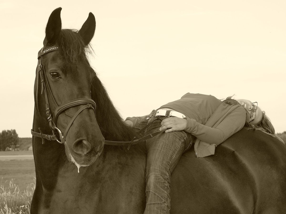 Лошадь спиной