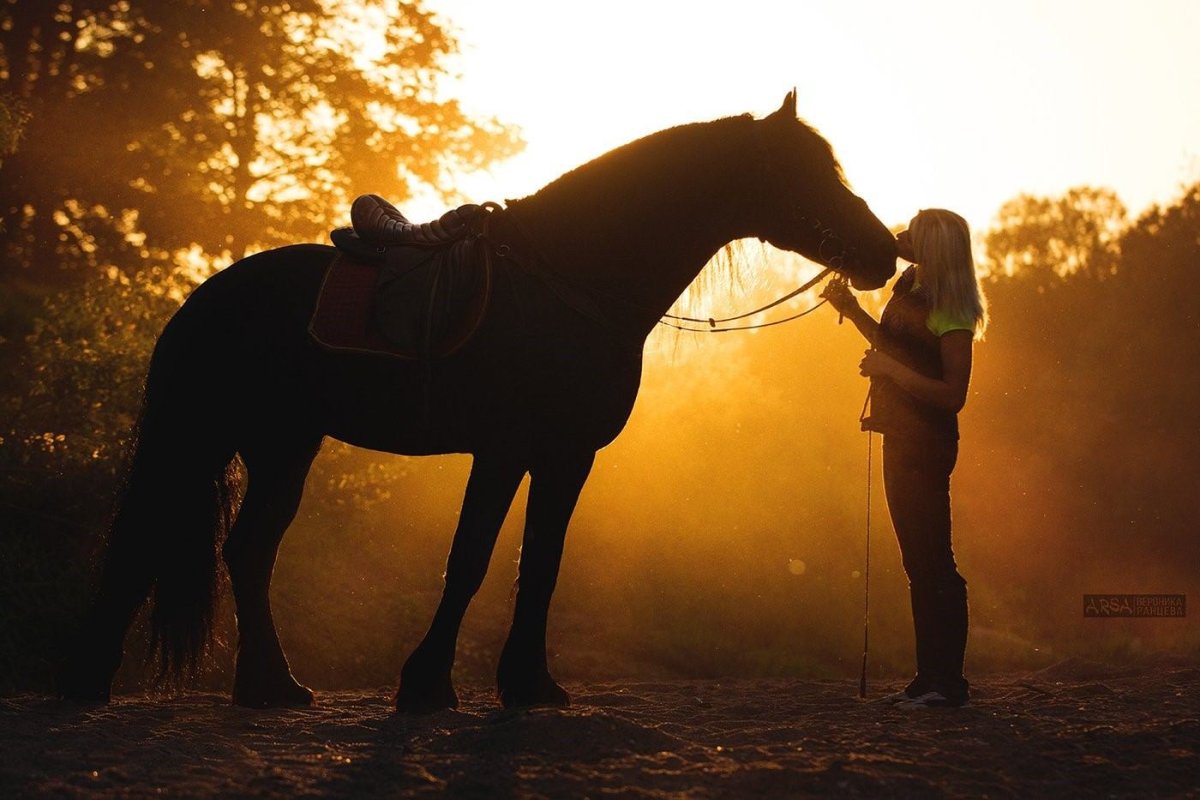 Фотосессия с лошадью на закате