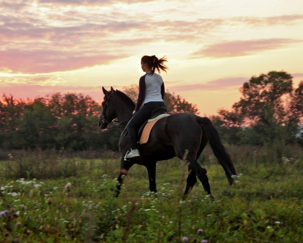 Верхом на лошади