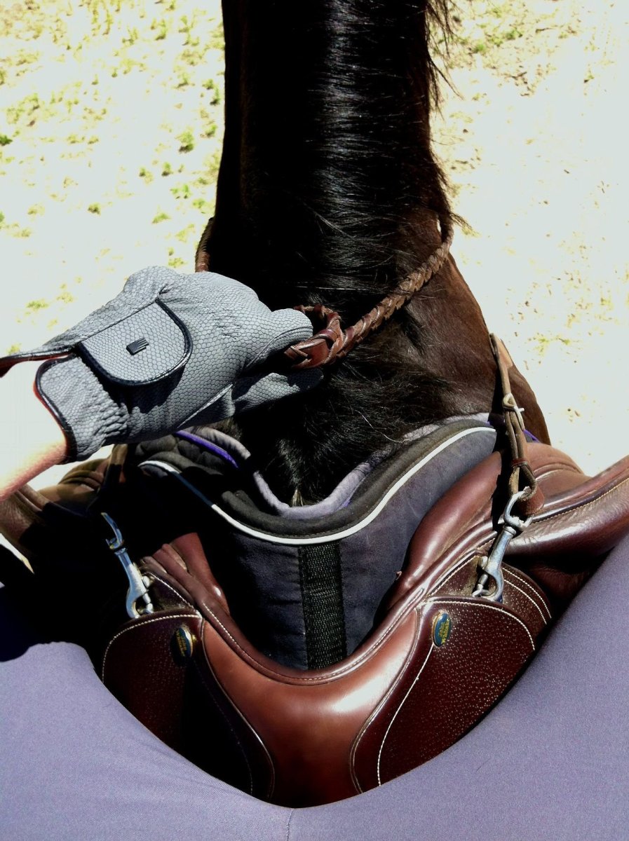 Всадник в седле