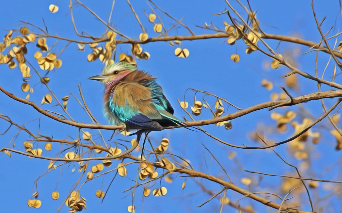 Птицы весной