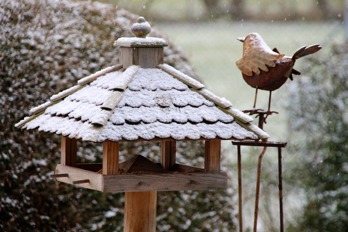 Кормушка для птиц