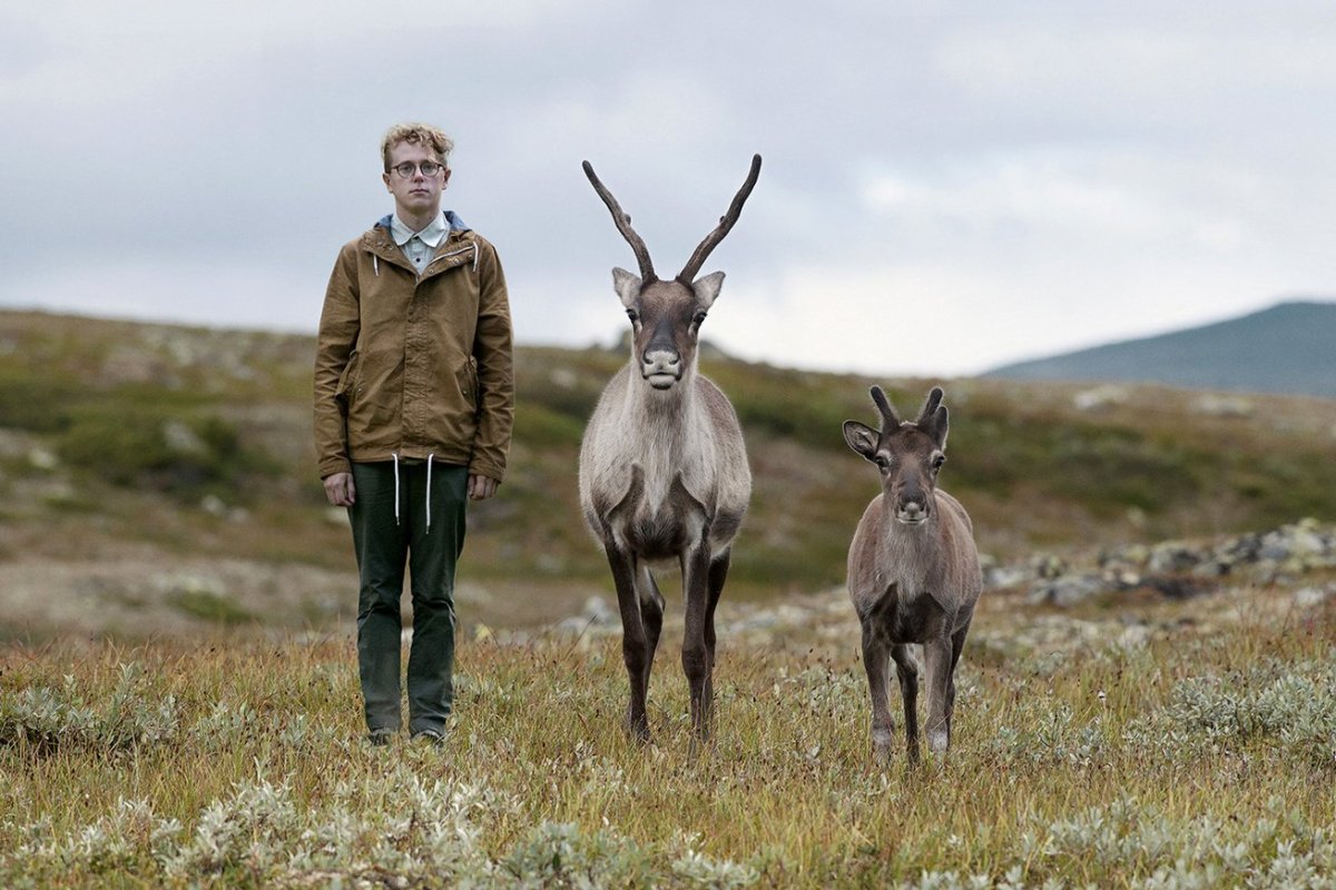 Благородный олень и человек