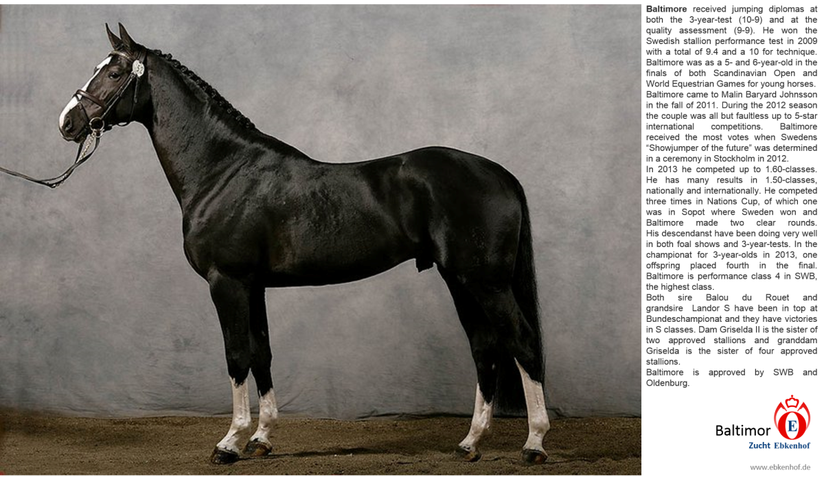 Лошади тракененской породы Эстетика