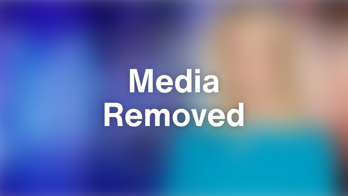 Пауки пустыни Негев