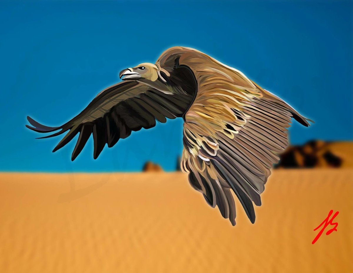 Стервятник в пустыне