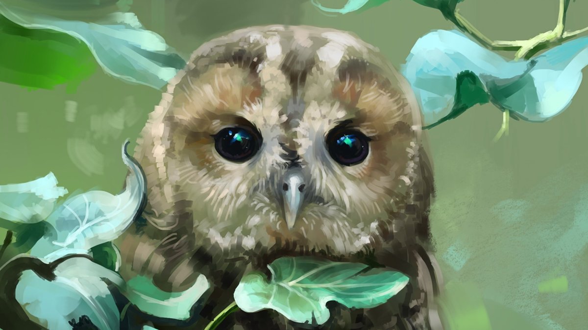 Картинки на рабочий стол Сова