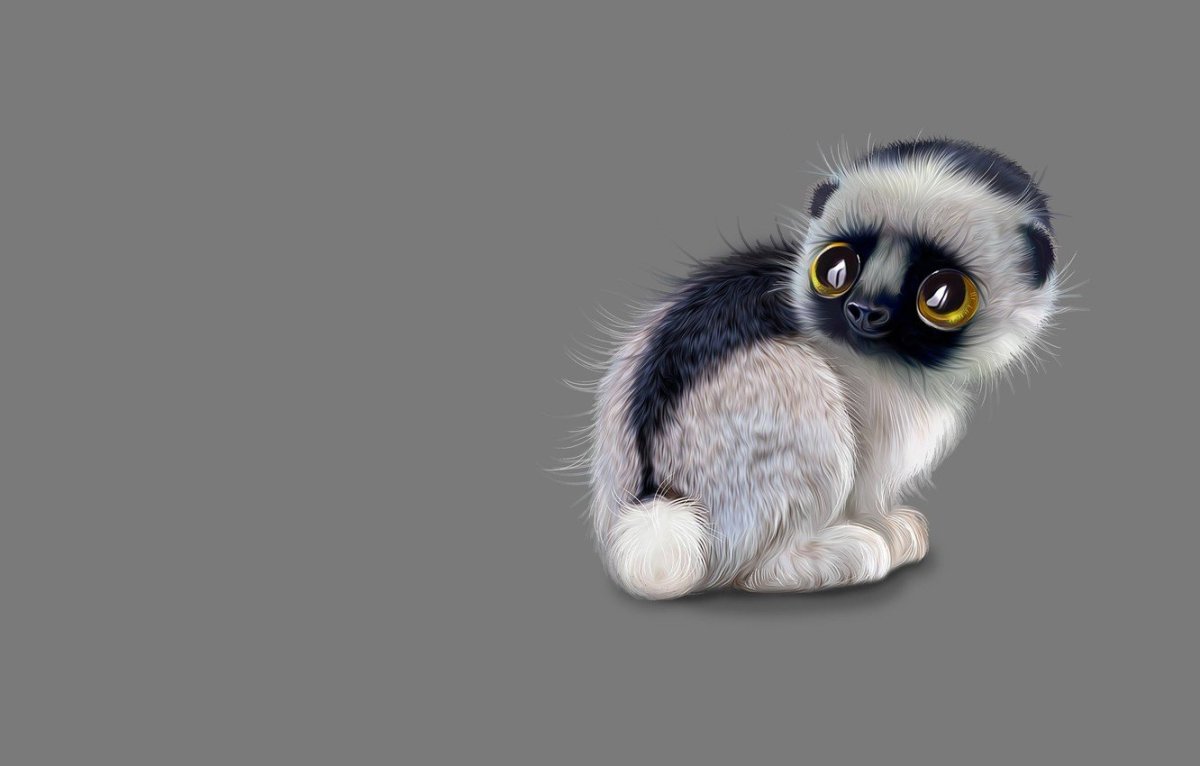 Животные на однотонном фоне