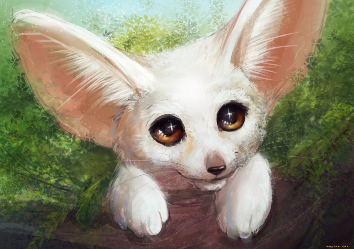 Мини Лисичка фенек