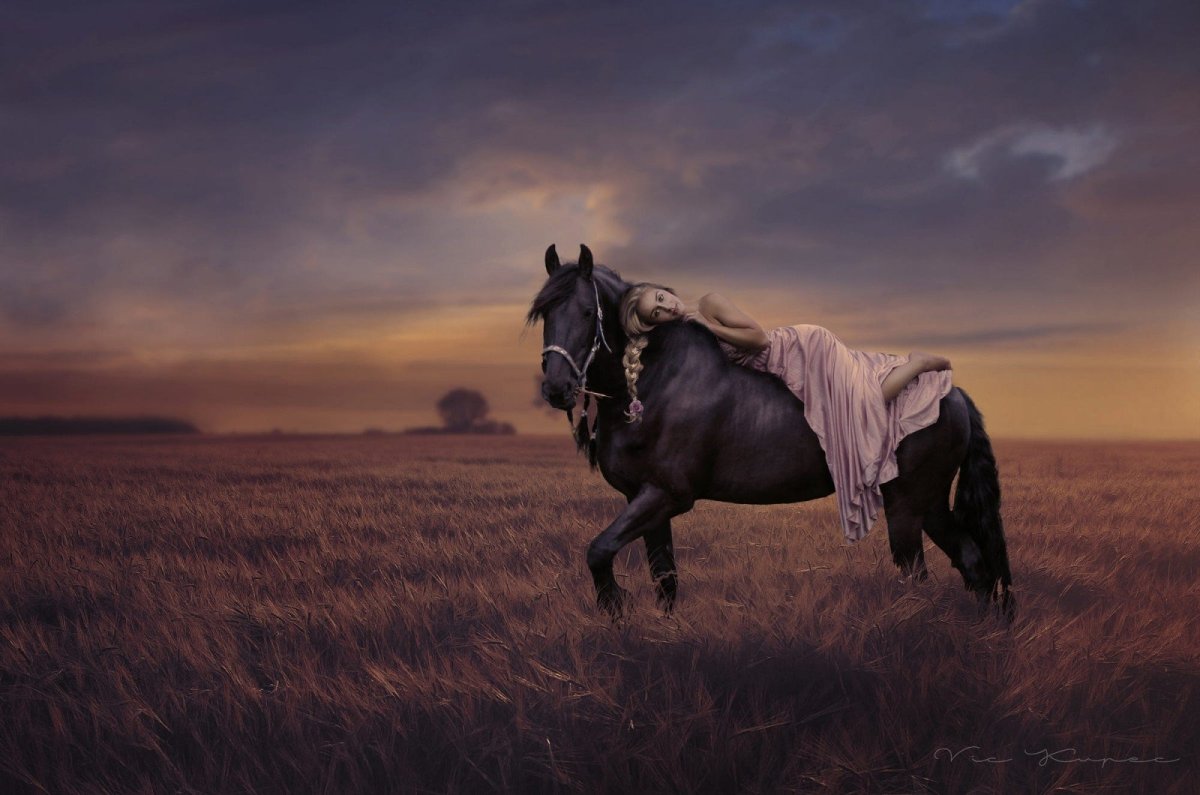 Одинокий конь в поле