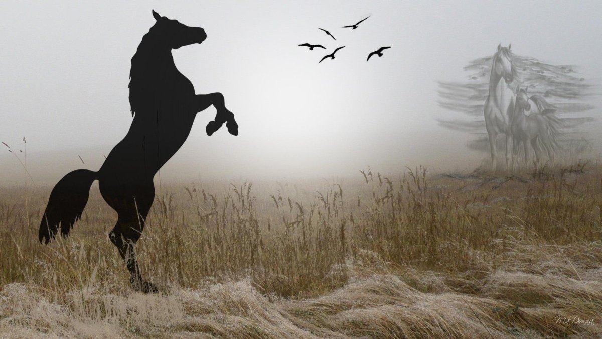 Теневая лошадь