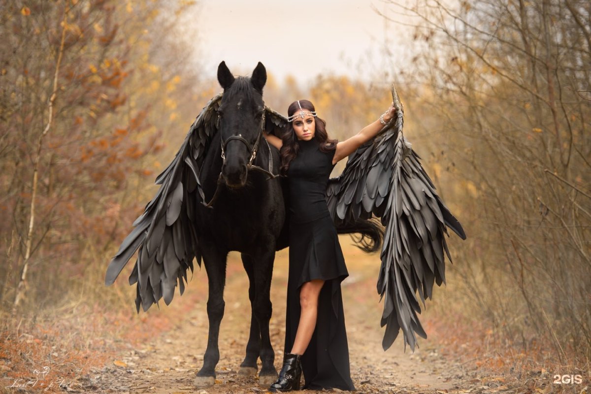 Конный клуб Траверсале Тверь