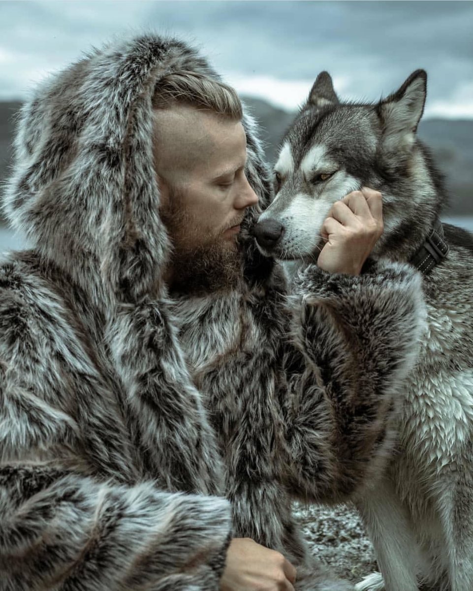 Волкодав собака викингов