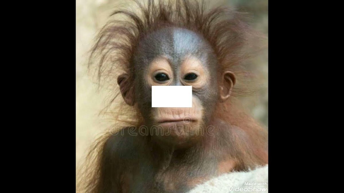 Обезьянка с волосами