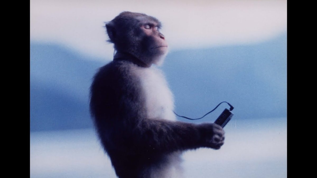 Обезьянка с плеером