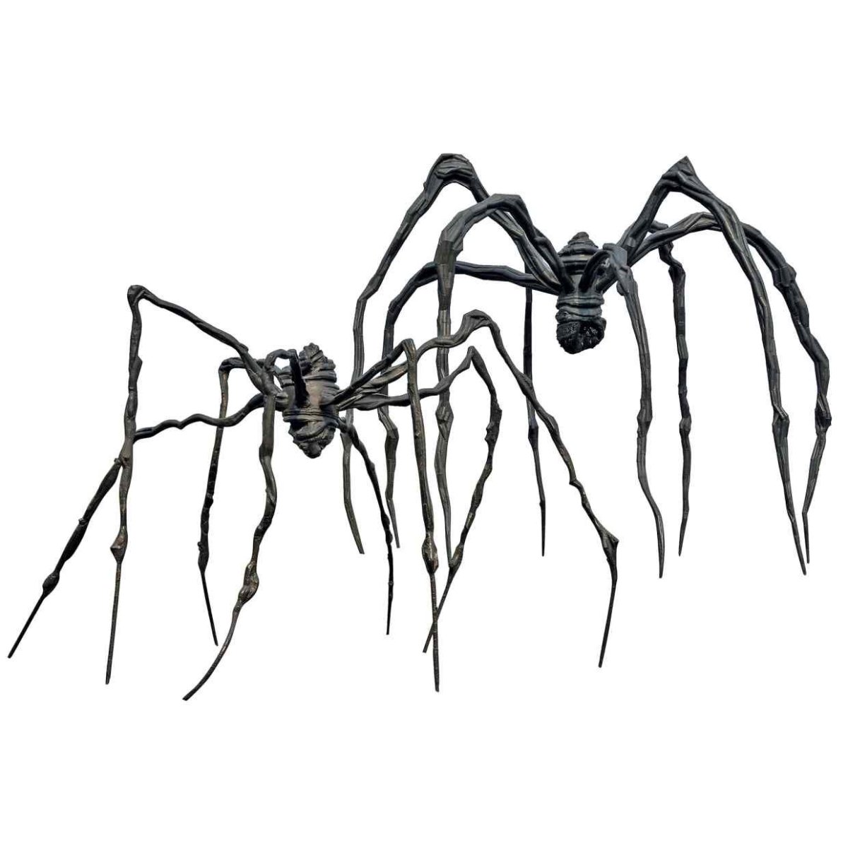 Паук с длинными лапами