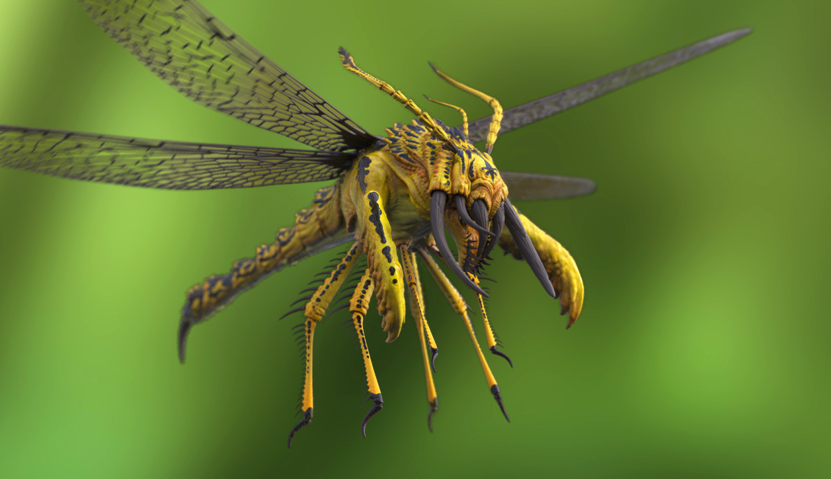 Паукообразные Стрекоза