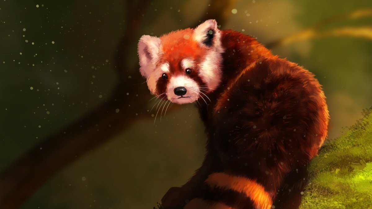 Наоми Лорд красная Панда