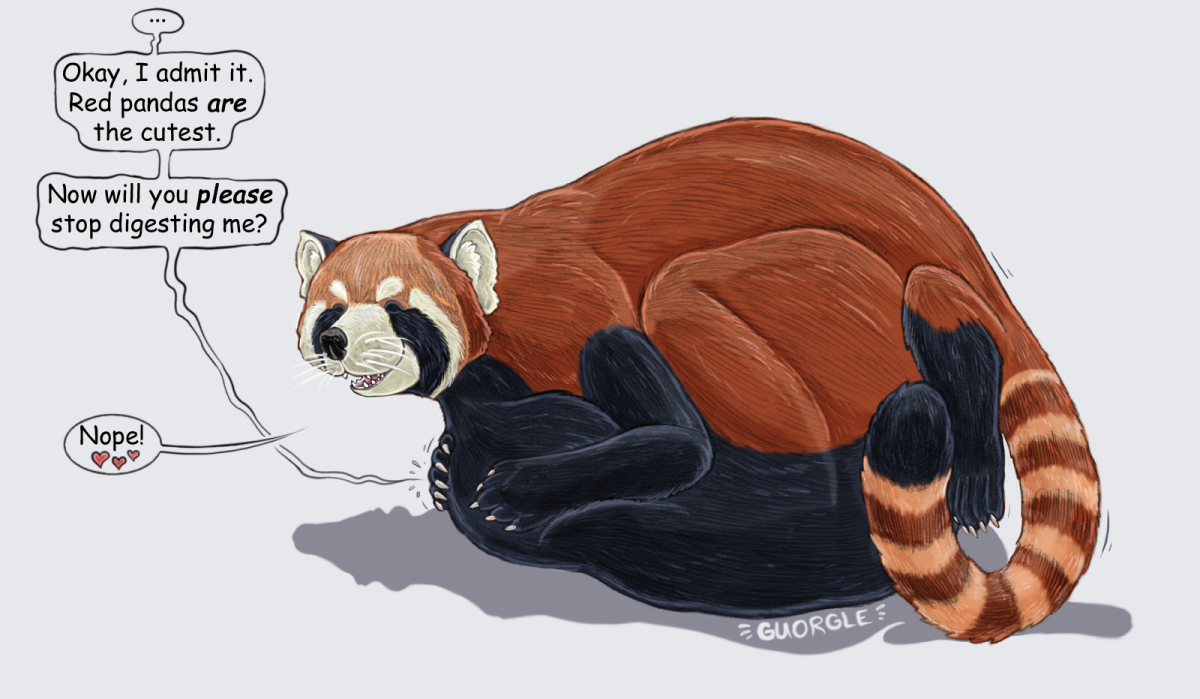 Красная Панда Vore