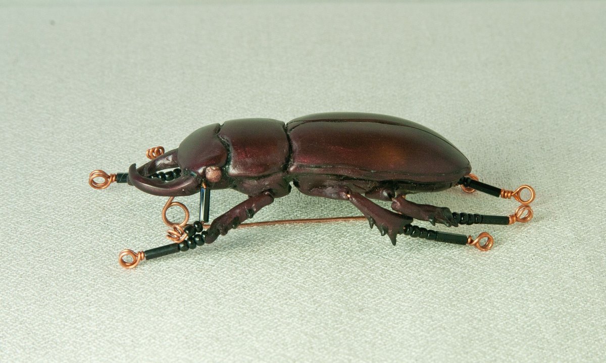 Насекомые из полимерной глины