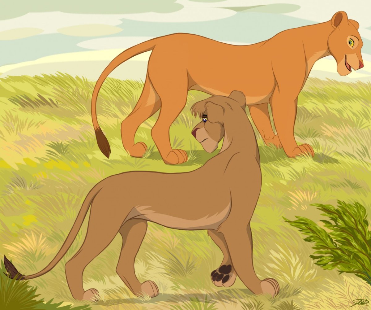 Львица идет