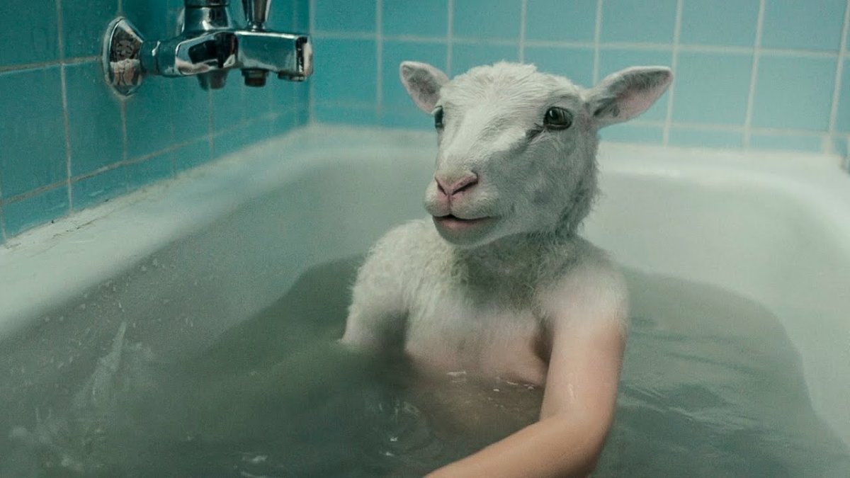 На ферме родился гибрид мальчик