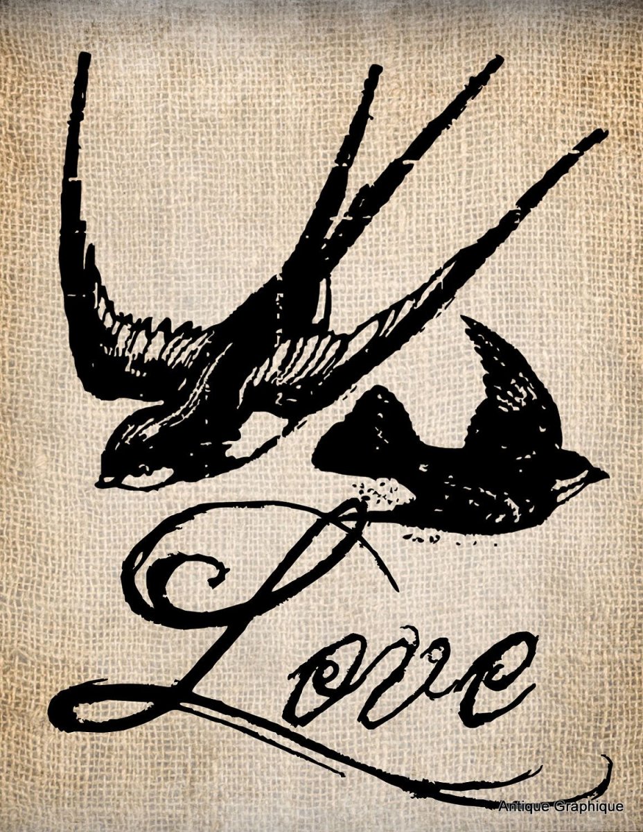 Ласточка любовь