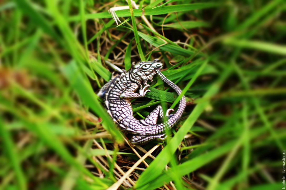 Ручные ящерки