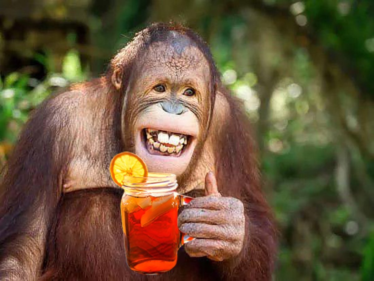 Обезьяна с большой улыбкой