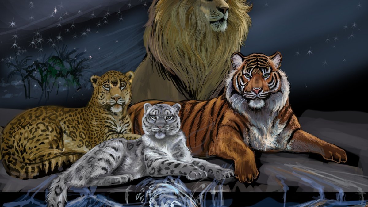 Снежный Барс и тигр