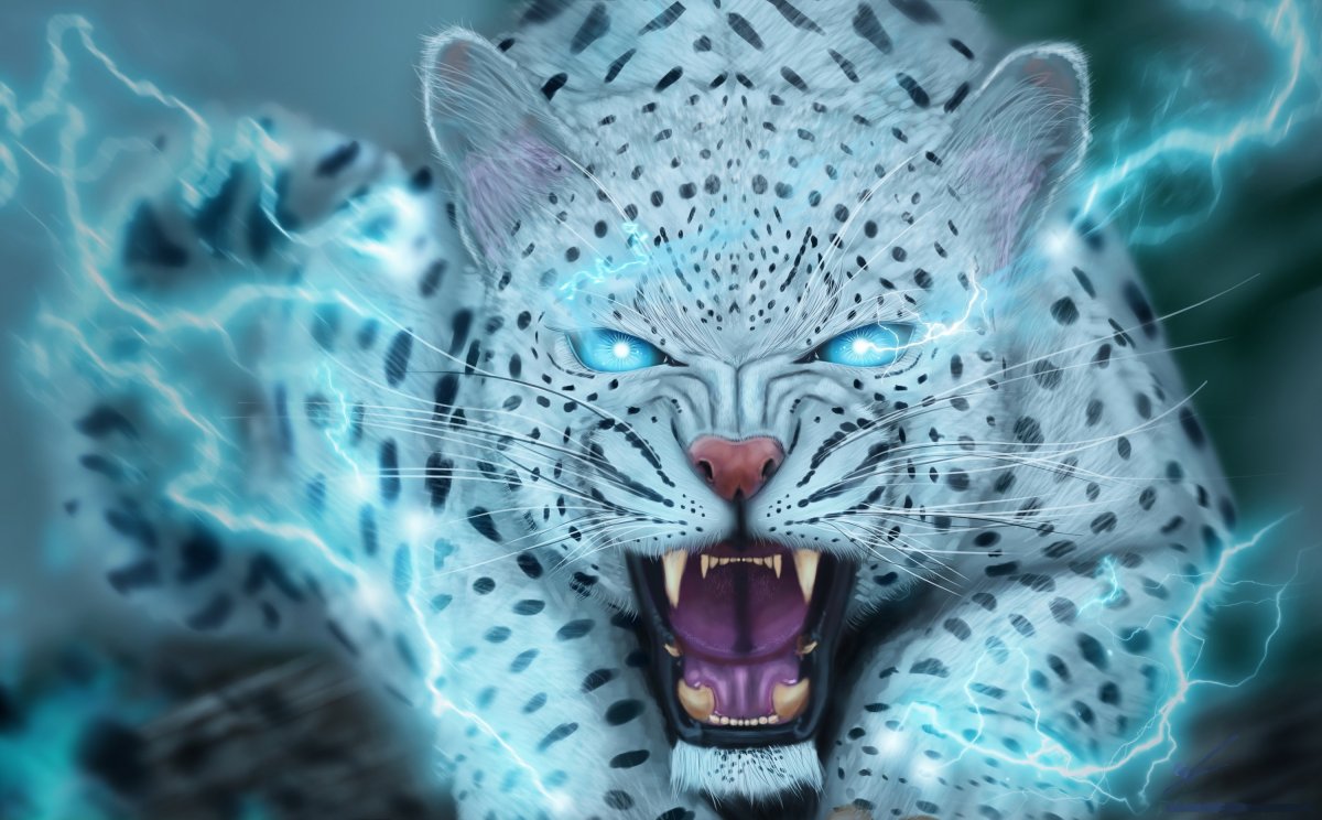 Гепард с голубыми глазами