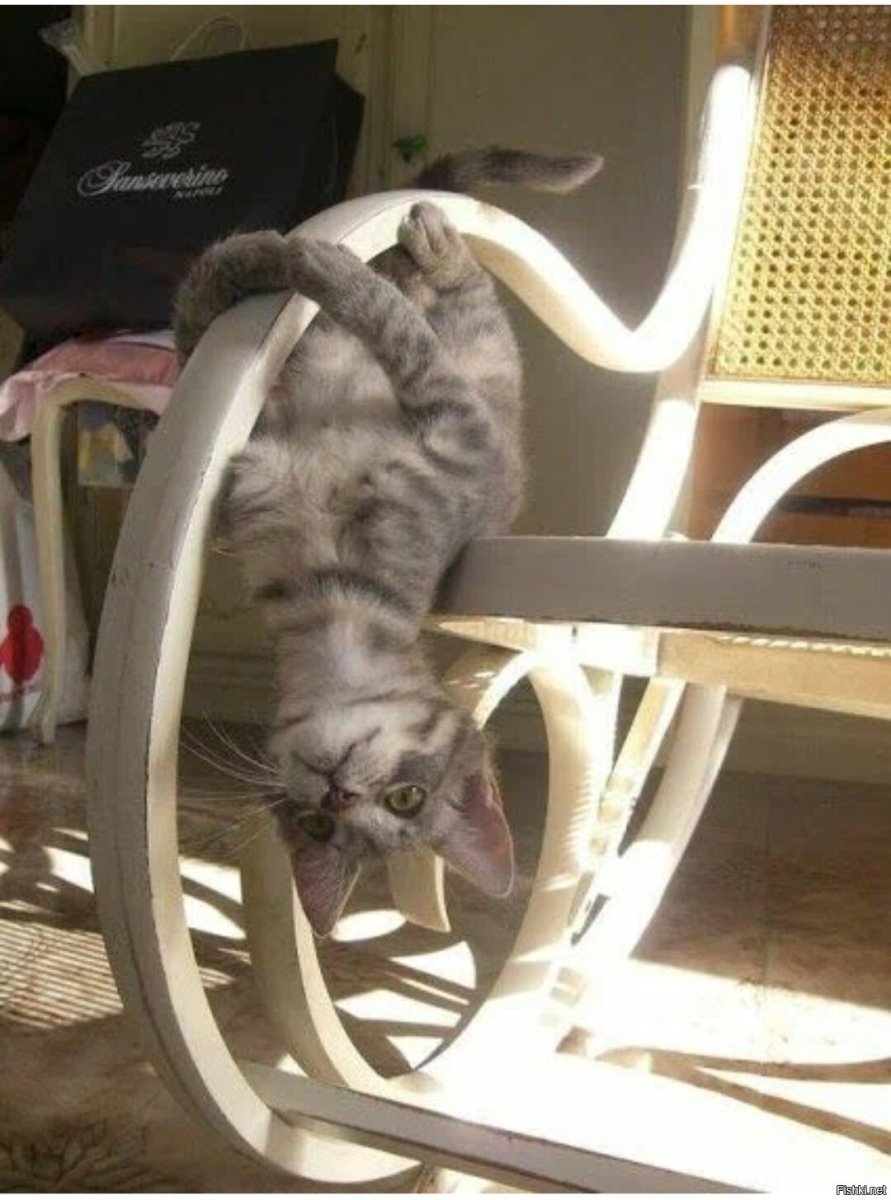 Взгляни на мир иначе картинки прикольные