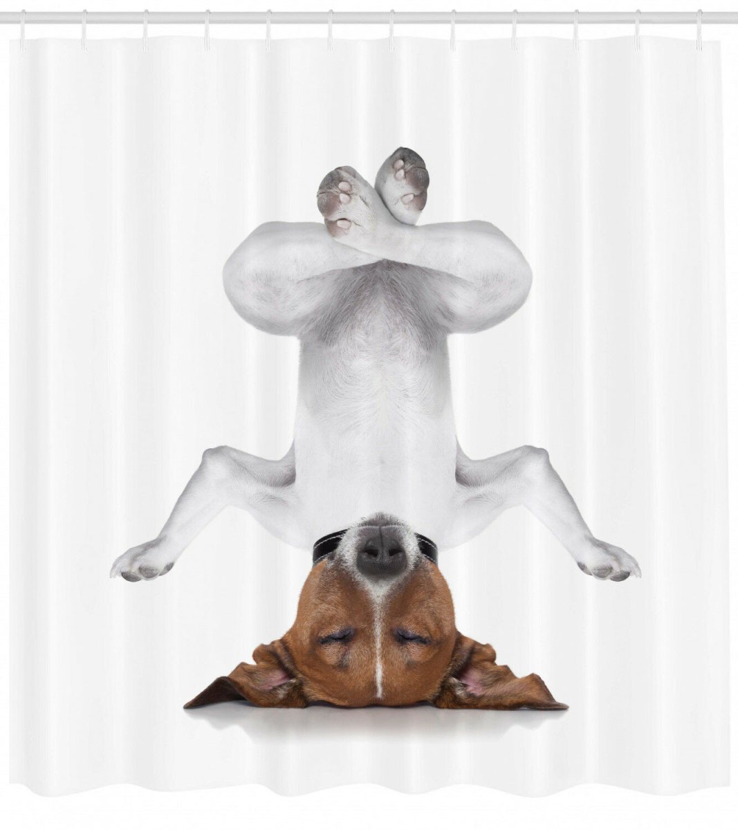 Поза йоги собака