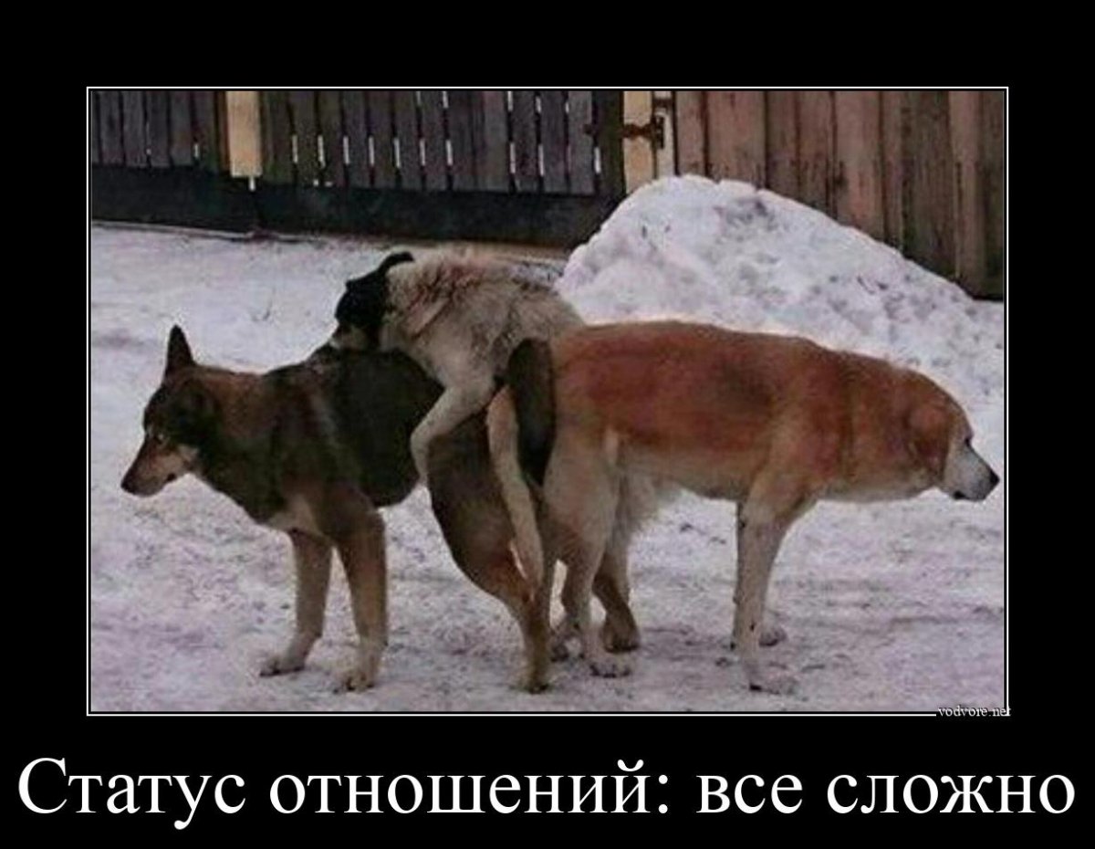 Семейное положение все сложно