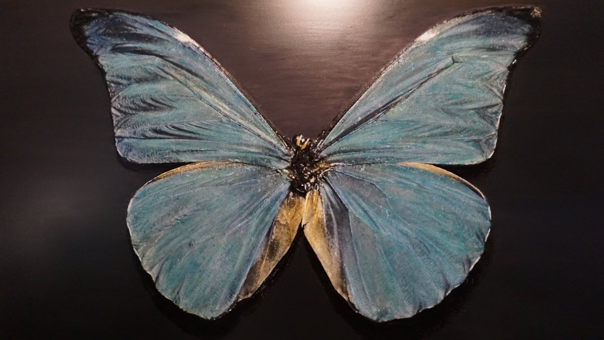 Морфо Ретенор