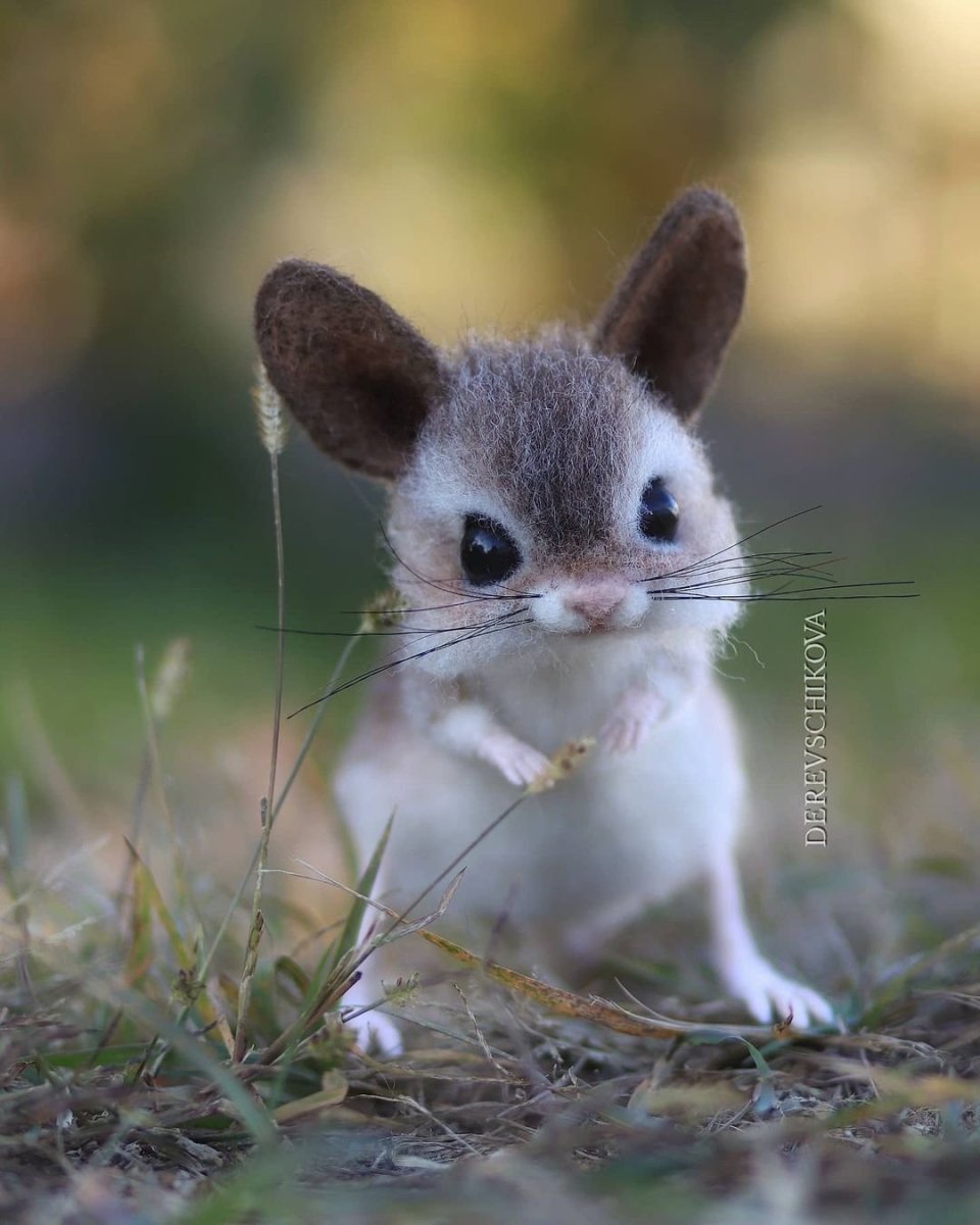 Тушканчик Степной