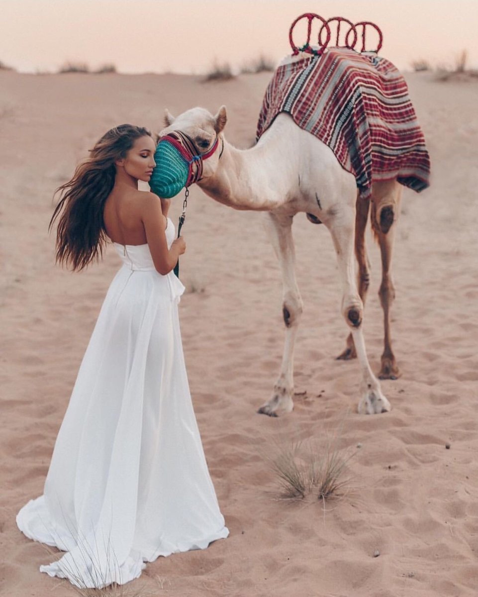 Девушка на верблюде