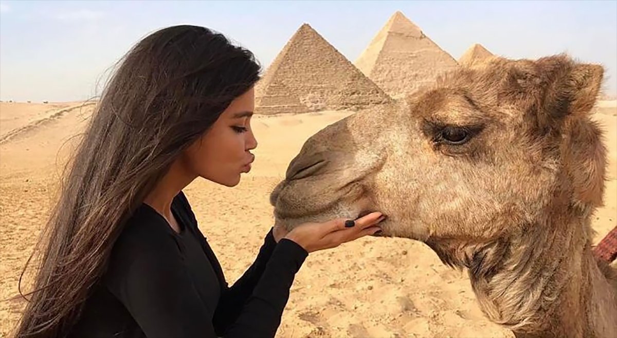 Девушка на верблюде