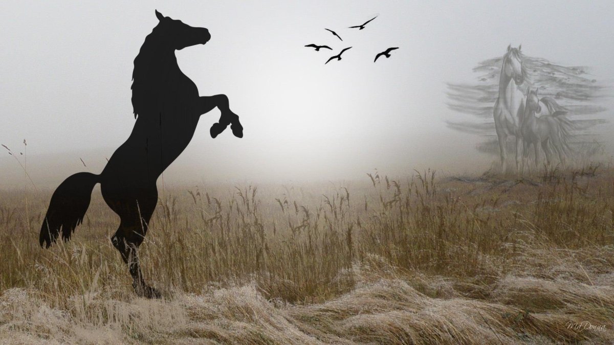 Тень лошади