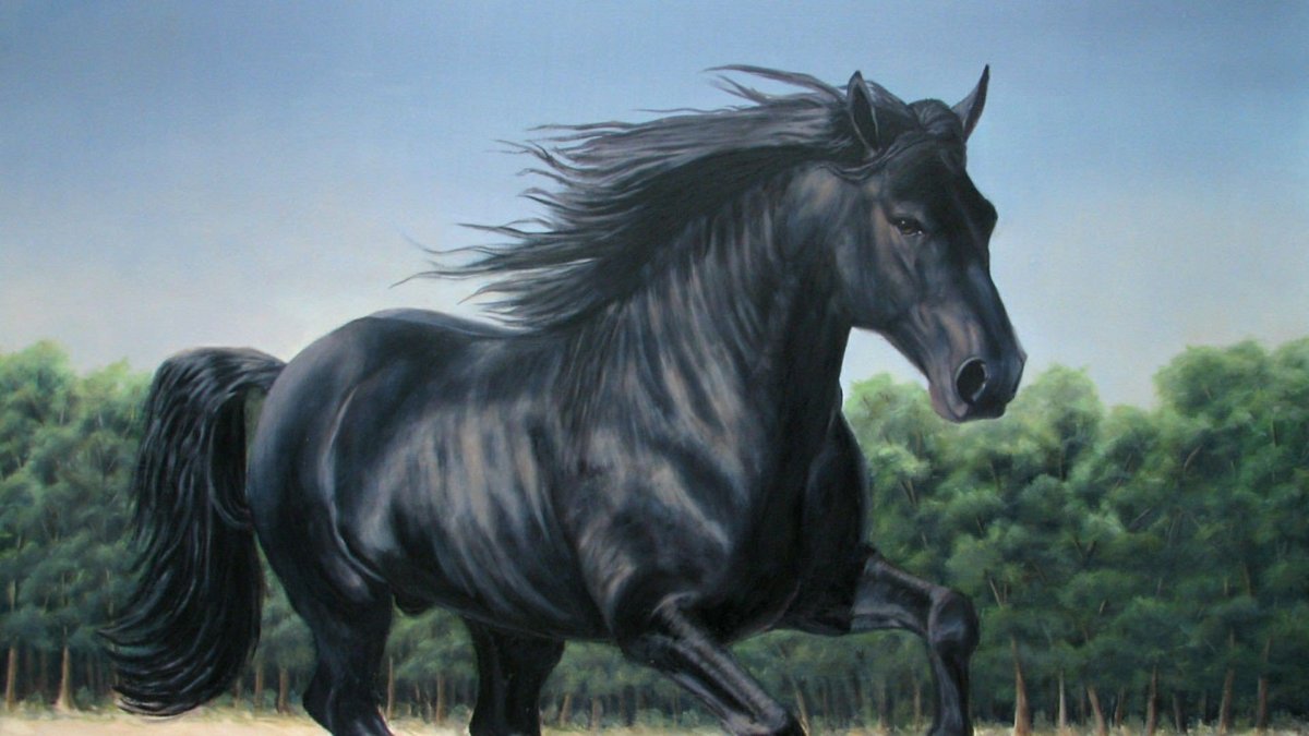 Николай Когут Black Horse
