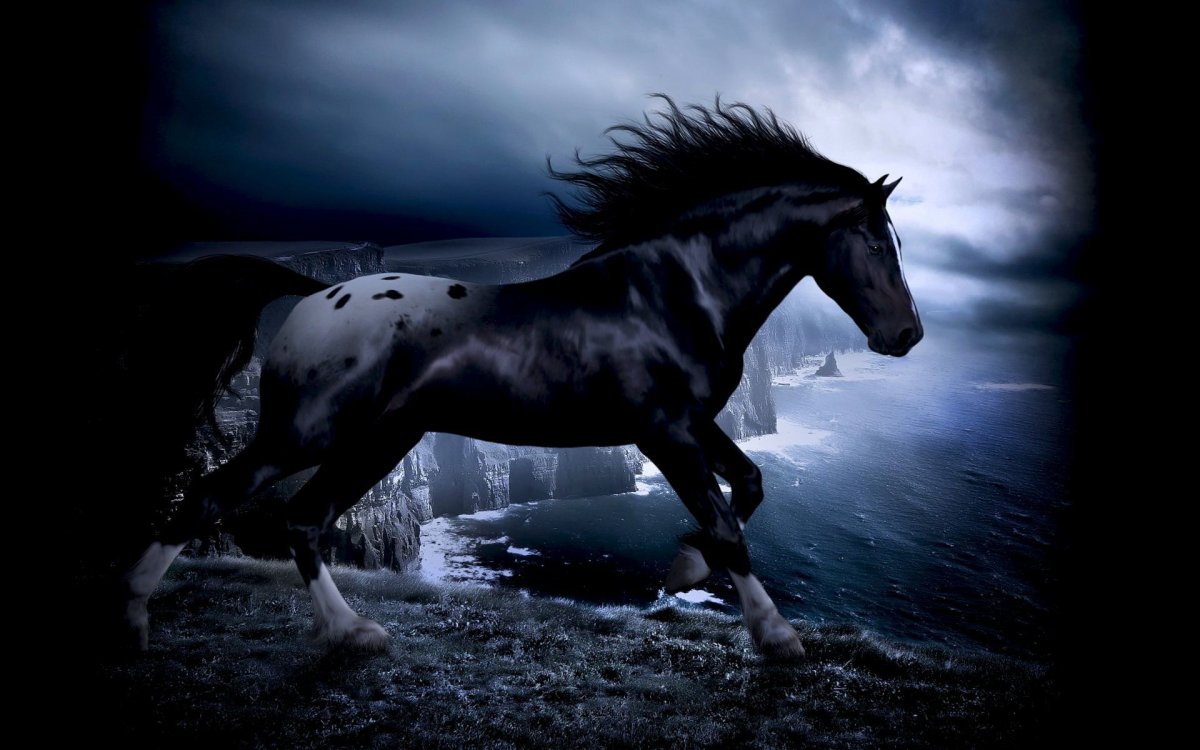 Обои лошади
